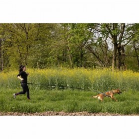 Guinzaglio per Cani Nero