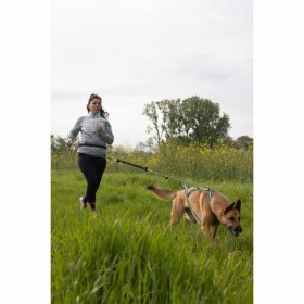 Guinzaglio per Cani Nero XL