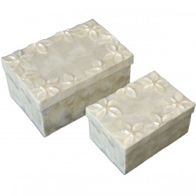 Set di Scatole Decorative Alexandra House Living Madreperla 2 Pezzi