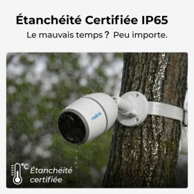 Videocamera di Sorveglianza Reolink