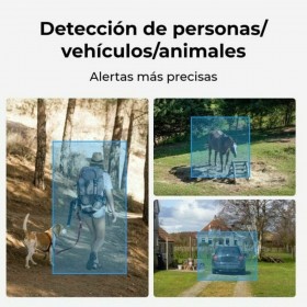 Videocamera di Sorveglianza Reolink