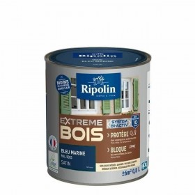Vernice di Fondo Ripolin Azzurro Raso 500 ml