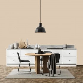 Vernice di Fondo Ripolin Beige Raso 2 L