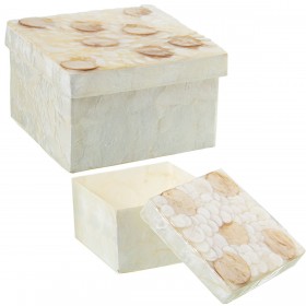 Set di Scatole Decorative Alexandra House Living Madreperla 2 Pezzi
