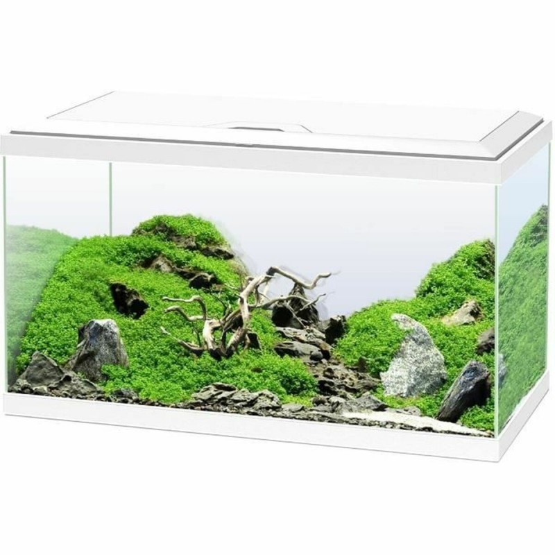 Acquario Ciano