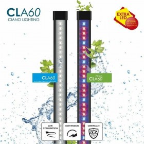 Acquario Ciano