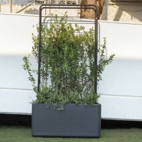Vaso Autoirrigante Deroma Antracite 78 x 38 x 39 cm Plastica Rettangolare