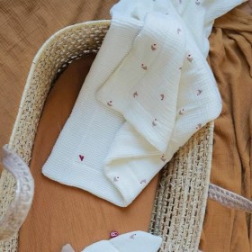 Coperta Domiva