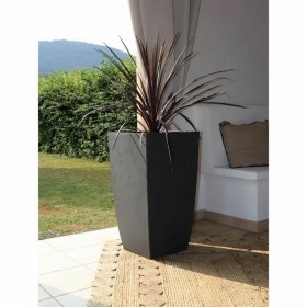 Vaso EDA