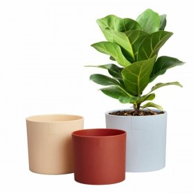 Vaso Elho