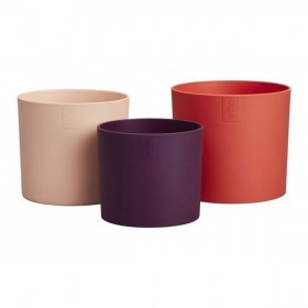 Vaso Elho