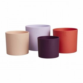 Vaso Elho