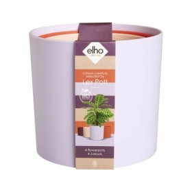 Vaso Elho