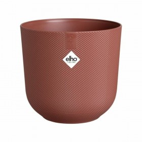 Vaso Elho