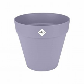 Vaso Elho