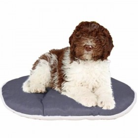 Cuccia per Cani Ferplast