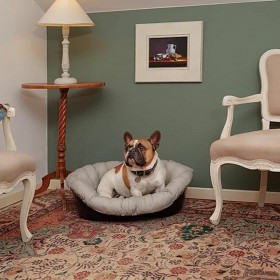 Cuccia per Cani Ferplast