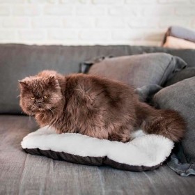 Cuccia per Cani Ferplast