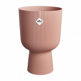 Vaso Elho