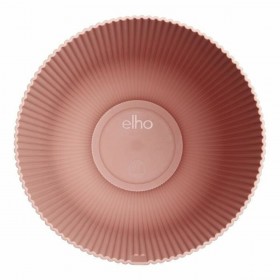 Vaso Elho