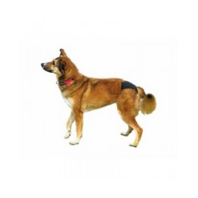 Slip Trixie 23495 Cotone XL