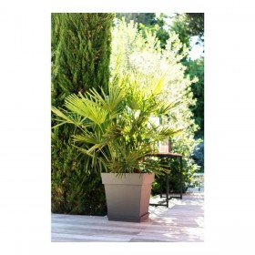 Vaso EDA Tuscan Taupé Plastica Quadrato Ø 50 cm (49,5 x 49,5 x 52,5 cm)
