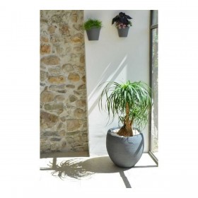 Vaso EDA Graphit Rotonda Plastica Grigio scuro (Ø 50 x 45 cm)