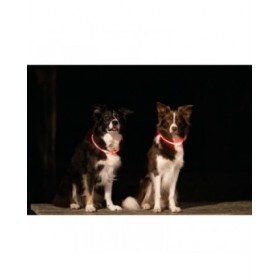 Collare LED per Animali Domestici Trixie Rosa L/XL