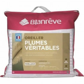 Cuscino Blanreve LOPLUHP006060 Bianco 60 x 60 cm (2 Unità)