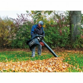 Aspirapolvere a Mano Scheppach LBH2600P  25.4 cc