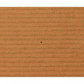 Prato artificiale Exelgreen Campus 2D 1 x 5 m 25 mm