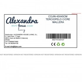 Cuscino Alexandra House Living Multicolore Tessile 45 x 45 cm