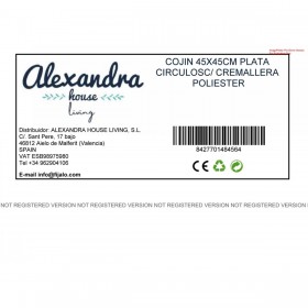 Cuscino Alexandra House Living Argentato Tessile 45 x 45 cm