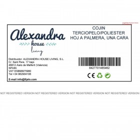 Cuscino Alexandra House Living Tessile 45 x 45 cm