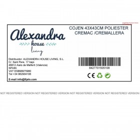 Cuscino Alexandra House Living Crema Tessile 43 x 43 cm