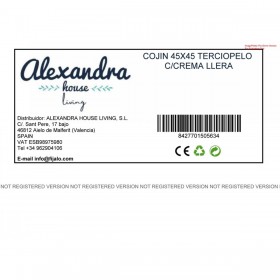 Cuscino Alexandra House Living Velluto Tessile 45 x 45 cm
