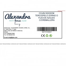 Cuscino Alexandra House Living Azzurro Dorato Tessile 50 x 30 cm