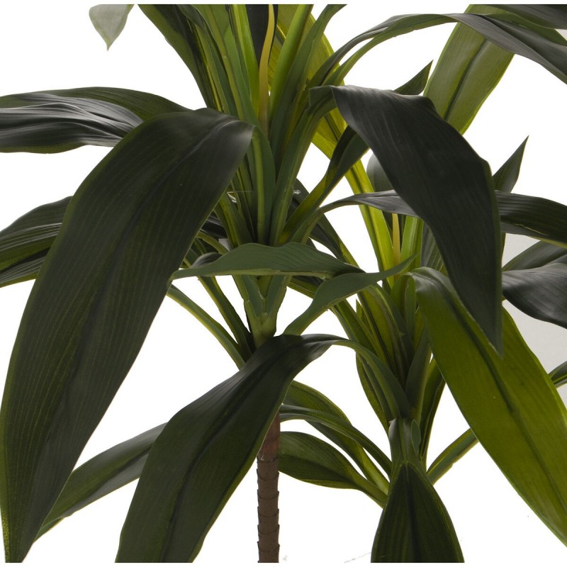 Pianta Decorativa Alexandra House Living Plastica Cassava 60 cm