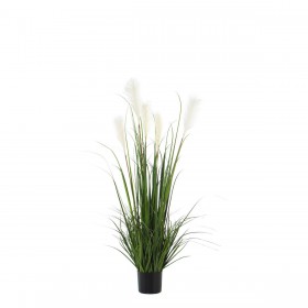 Pianta Decorativa Alexandra House Living Plastica Felce 120 cm