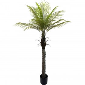 Pianta Decorativa Alexandra House Living Plastica Palma 180 cm