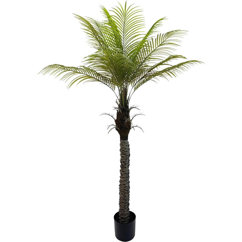 Pianta Decorativa Alexandra House Living Plastica Palma 180 cm