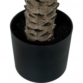 Pianta Decorativa Alexandra House Living Plastica Palma 180 cm