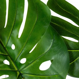 Pianta Decorativa Alexandra House Living Plastica Monstera 150 cm