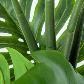 Pianta Decorativa Alexandra House Living Plastica Monstera 150 cm