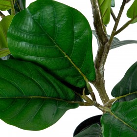 Pianta Decorativa Alexandra House Living Plastica Ficus 90 cm