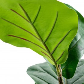 Pianta Decorativa Alexandra House Living Plastica Ficus 90 cm