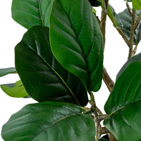 Pianta Decorativa Alexandra House Living Plastica Ficus 90 cm