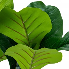 Pianta Decorativa Alexandra House Living Plastica Ficus 90 cm