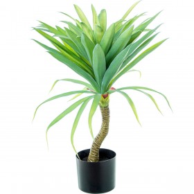 Pianta Decorativa Alexandra House Living Plastica Cassava 70 cm