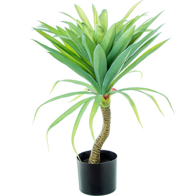 Pianta Decorativa Alexandra House Living Plastica Cassava 70 cm